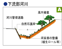 拡大：下流部河川