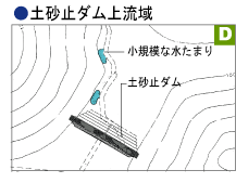 拡大：土砂止ダム上流域