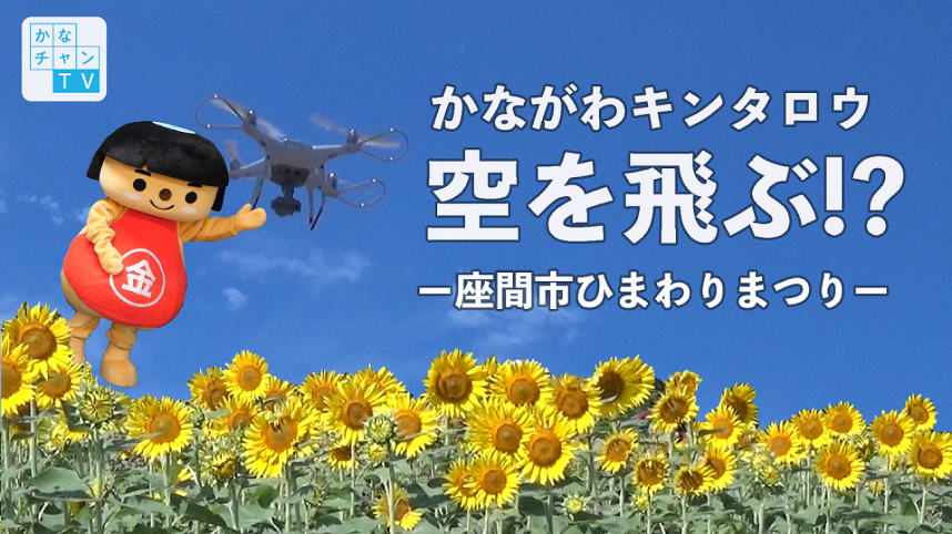 かながわキンタロウ空を飛ぶ!?ー座間市ひまわりまつりーサムネイル