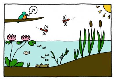 イラスト：ザリガニが入る前の池