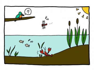イラスト：ザリガニが池に侵入