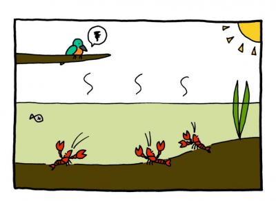 イラスト：ザリガニが繁殖した池