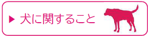 inu