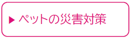 saigai