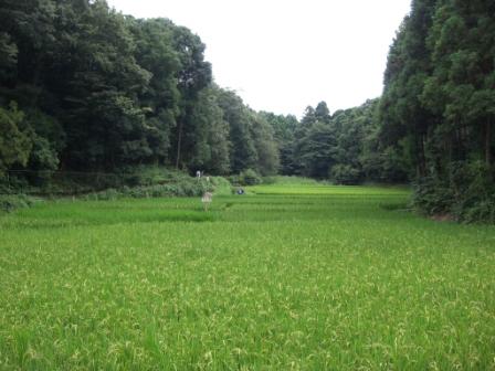 石川丸山谷戸の里地里山