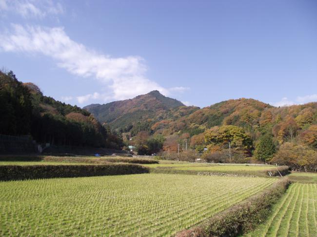 厚木市七沢里地里山保全等地域