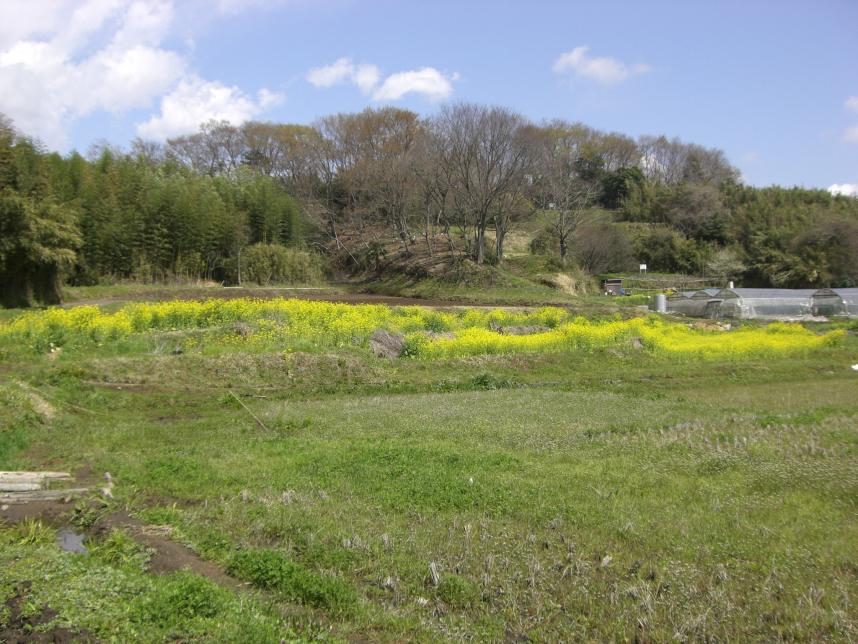 土沢地区の里地里山