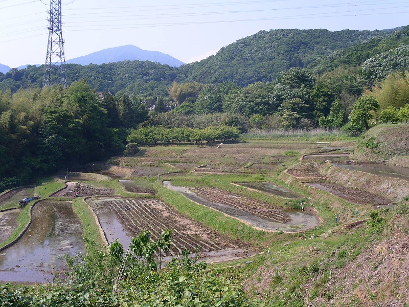 名古木の里地里山