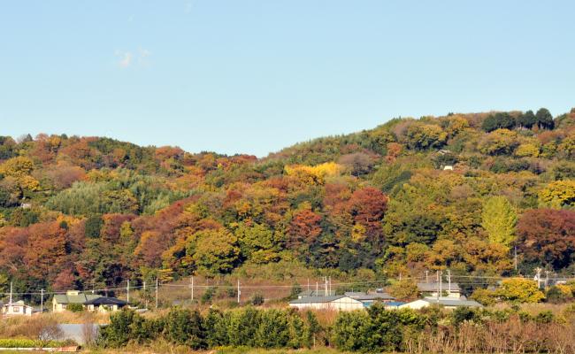 小田原市上曽我里地里山保全等地域