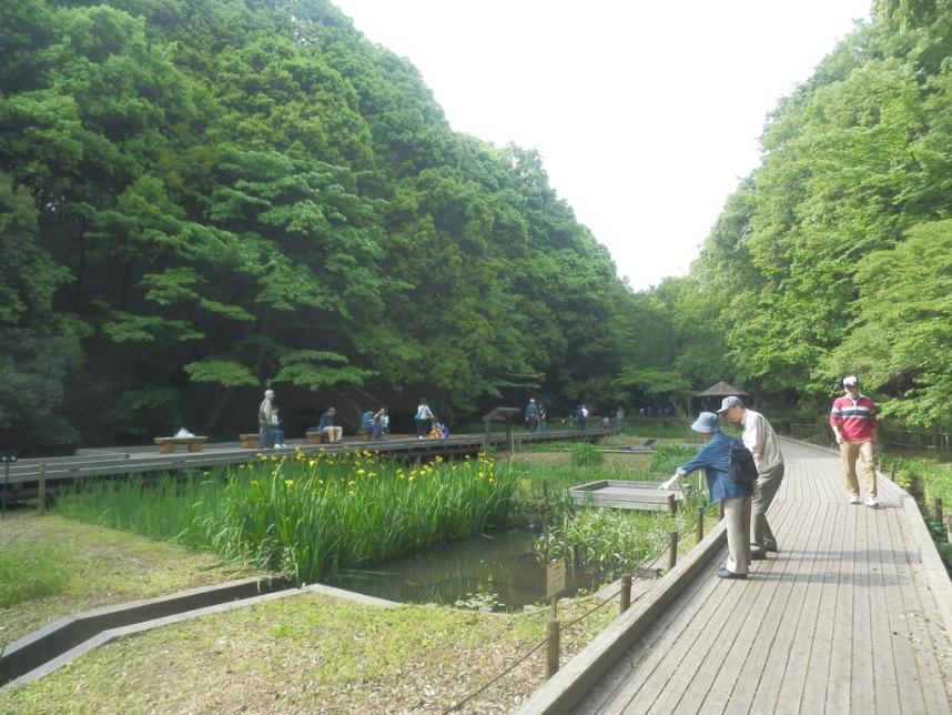 湿性植物園2