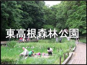 東高根森林公園