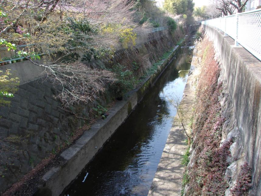 有馬川