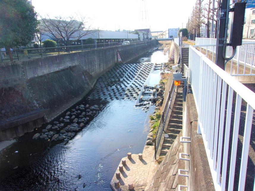 矢上川