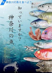 知っていますか　かながわの魚ポスター