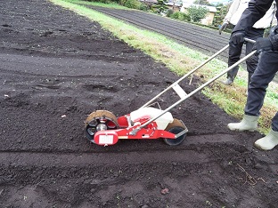 seeding