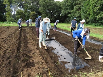 mulching