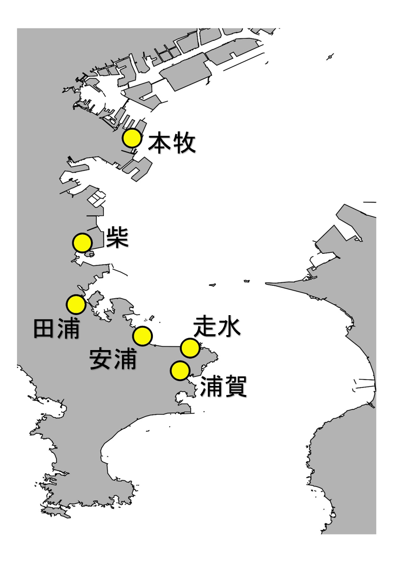 岸壁からの採水地点