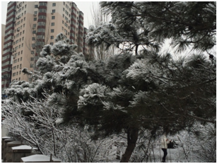 遼寧省の冬