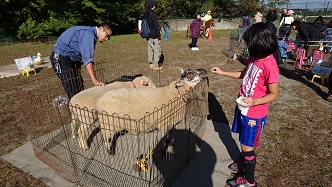 2017秋まつり動物園1