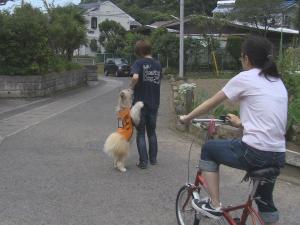 自転車が近付いたことを教えるトレーニング