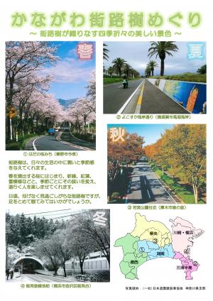 かながわ街路樹めぐり