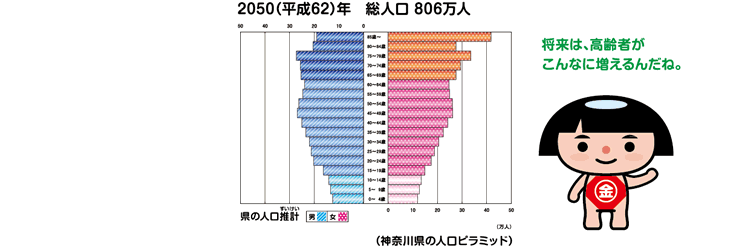 神奈川県の人口ピラミッド　2050（平成62）年　総人口806万人（県の人口推計）　将来は高齢者がこんなにふえるんだね。