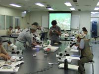 市民による河川の水生生物の観察の画像