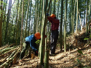 yokohamasatoyama