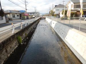 二級河川仙了川護岸補修工事後の画像