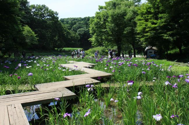 県立都市公園