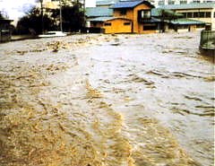 昭和57年の出水状況（保土ヶ谷区）