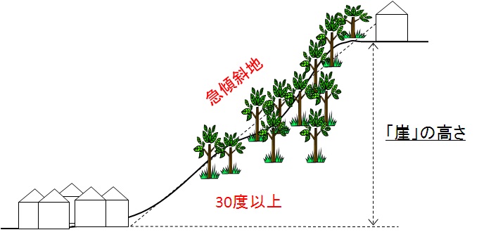 崖の高さ