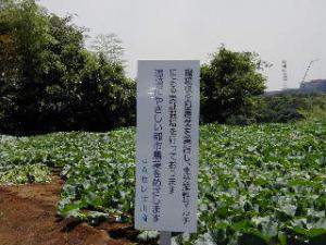 環境保全農業の取組による多品目な野菜生産