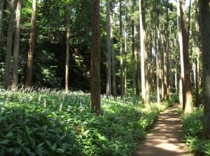 市民の生活を守る保健保安林