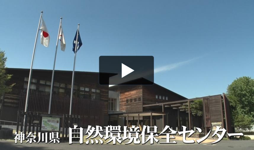 県試験研究機関照会動画「自然環境保全センター」へのリンク