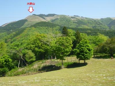 大野山