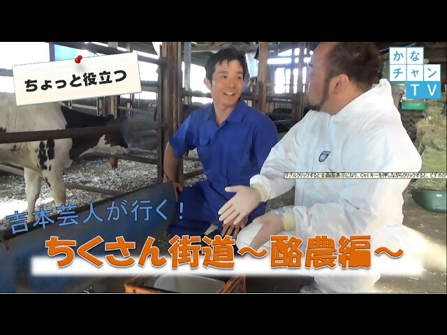 かなちゃんTV酪農