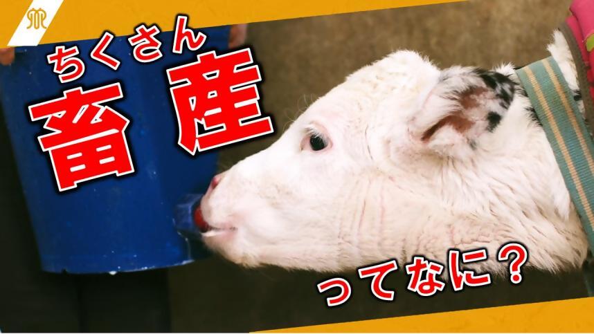 小学生向け動画
