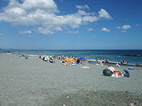 御幸の浜の写真