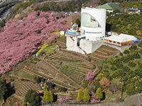 西平畑公園の写真