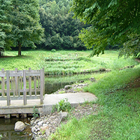 森と水の公園の写真