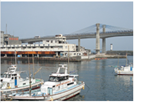 小田原漁港の写真