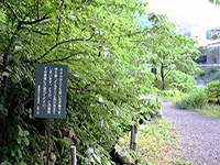 箱根湯本ほたる公園の写真