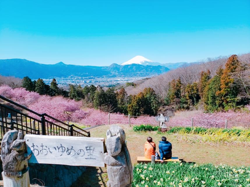 おおいゆめの里からの風景写真