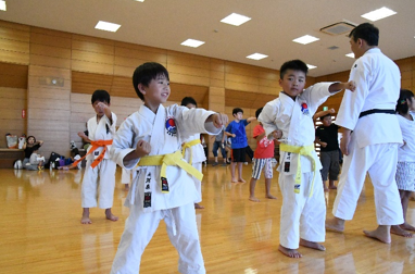 karate1