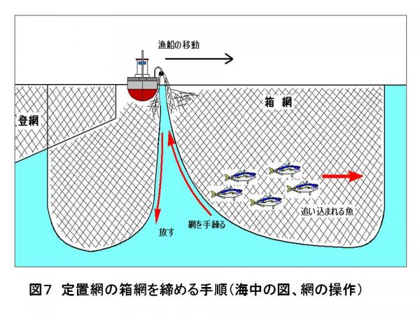 図7　定置網の箱網を締める手順（海中の図、網の操作）