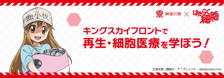 神奈川県と「はたらく細胞」のコラボレーション。キングスカイフロントで再生・細胞医療を学ぼう！
