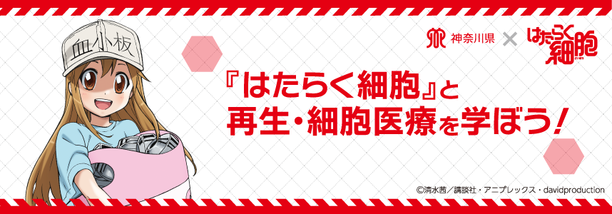 スタンプラリー終了