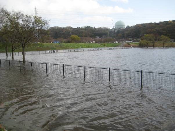 大庭遊水地洪水時