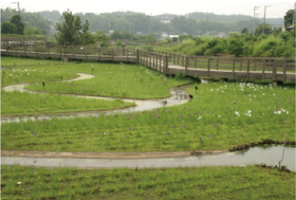 蟹ヶ谷公園